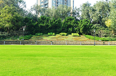 糖心VLGO投稿格式说明