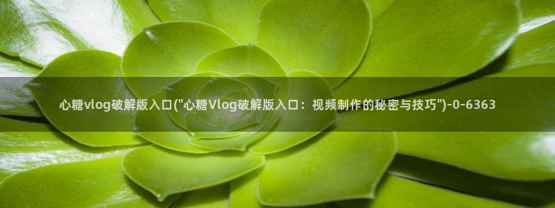 心糖vlog怎么下载