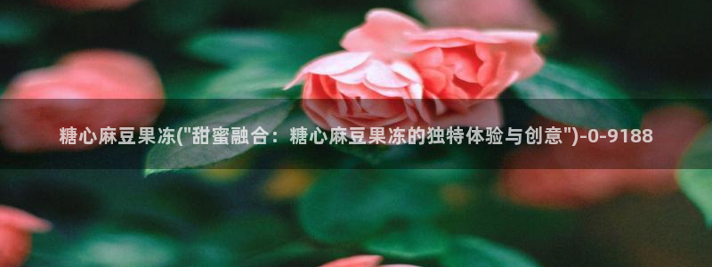 糖心vlog人口