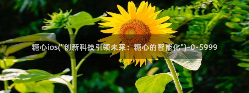 糖心velog：糖心ios(\