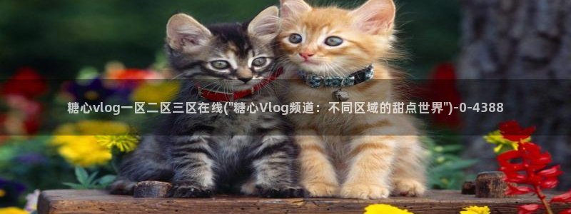 糖心vlog视频观看：糖心vlog一区二区三区在
