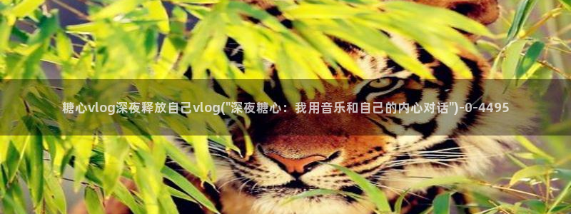 糖心vlog观看：糖心vlog深夜释放自己vlo