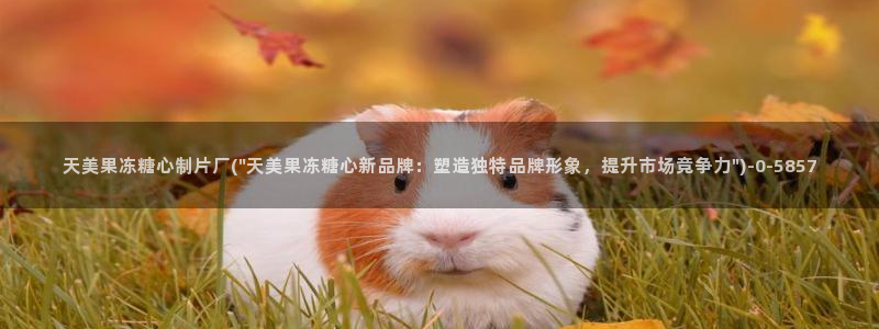 心糖vlog视频在线观看：天美果冻糖心制片厂(\