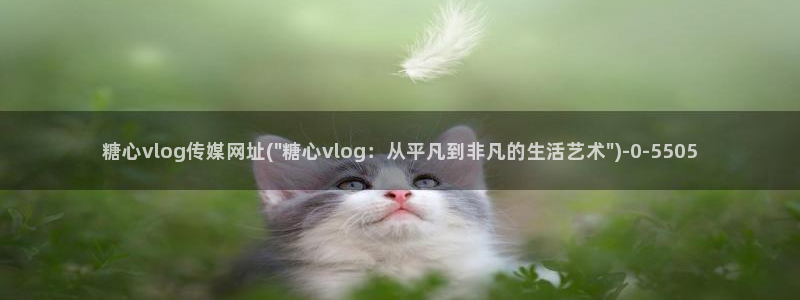 糖心vlog精产：糖心vlog传媒网址(\