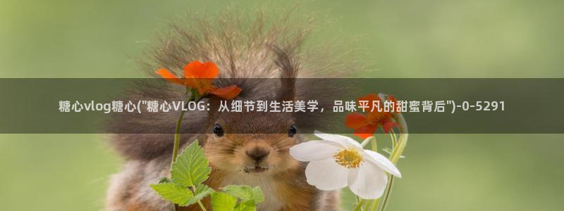 心糖的vlog：糖心vlog糖心(\