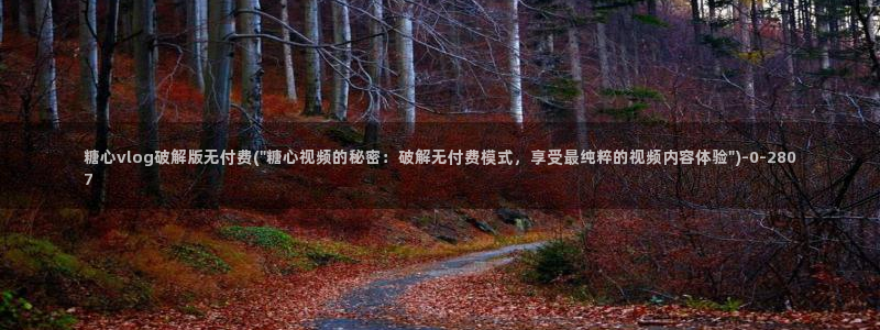 糖心vlog最新