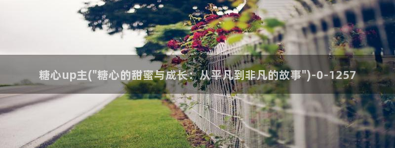 糖心vlog网站下载