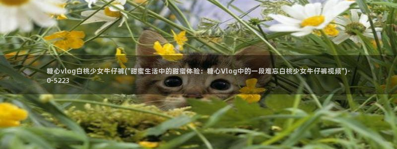 糖心vlog 白菜妹妹